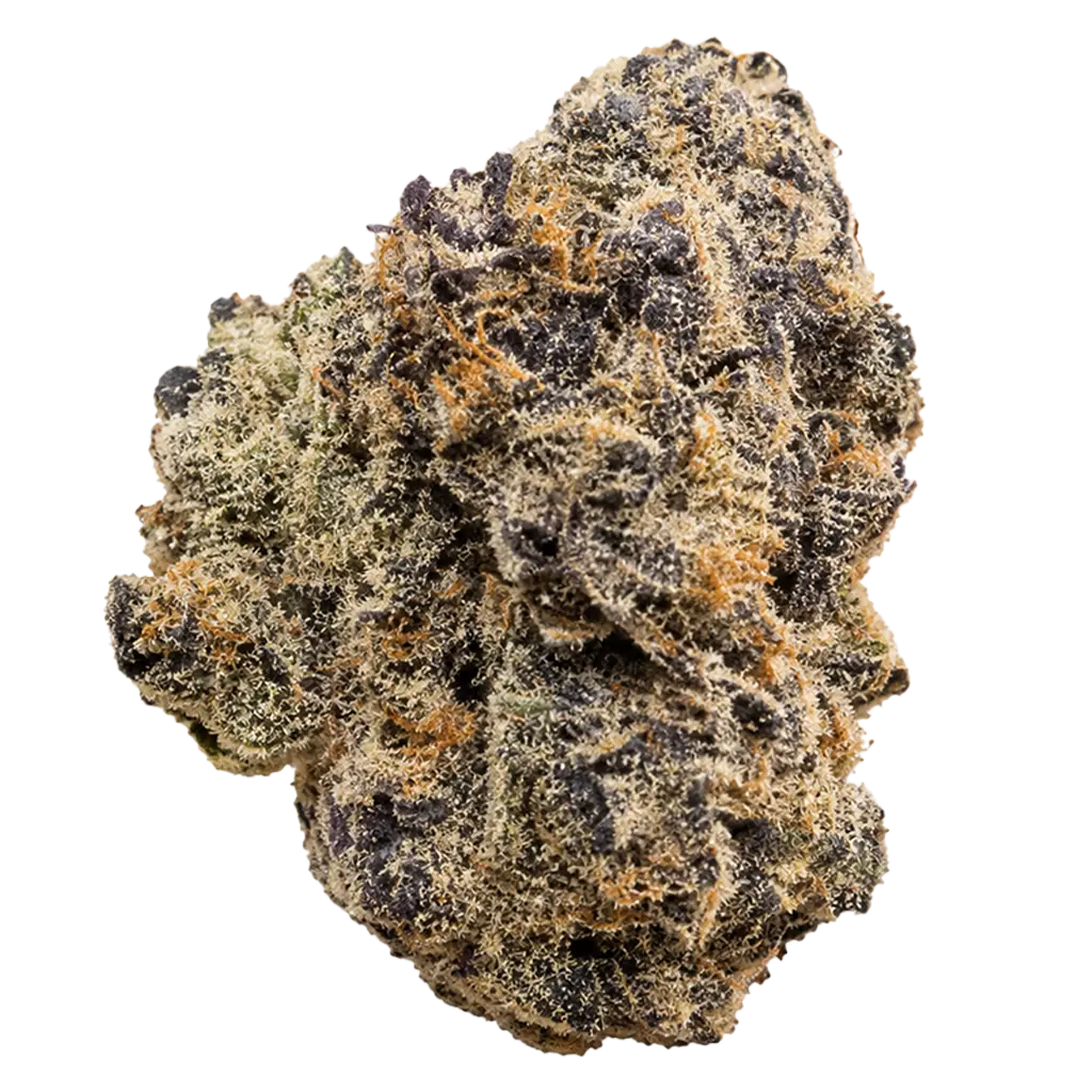 Danger strain with frosty dark buds, intense diesel aroma, fuel-heavy terps, and dense trichome coverage.