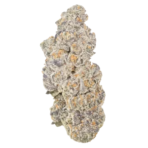 Sherb THCa Flower