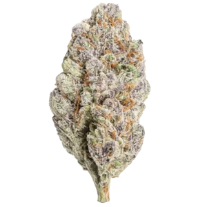 USP THCa Flower